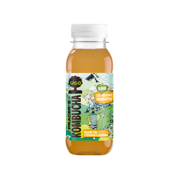 719053 Kombucha zelený čaj s citrónem a zázvorem 250 ml UGO-1