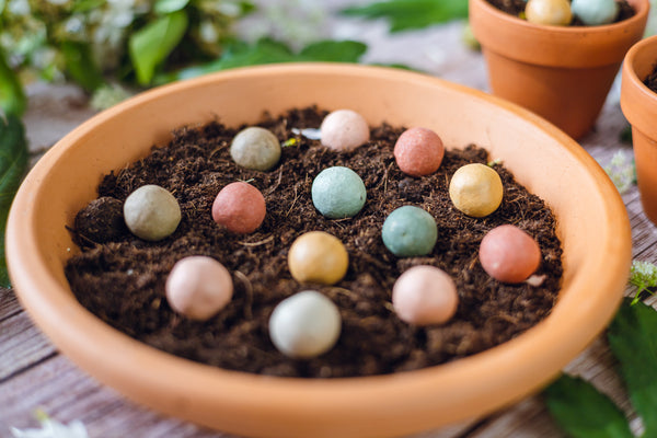 Blossombs Semínkové bomby - Dárková sada mini - Bylinková zahrádka (4 ks)