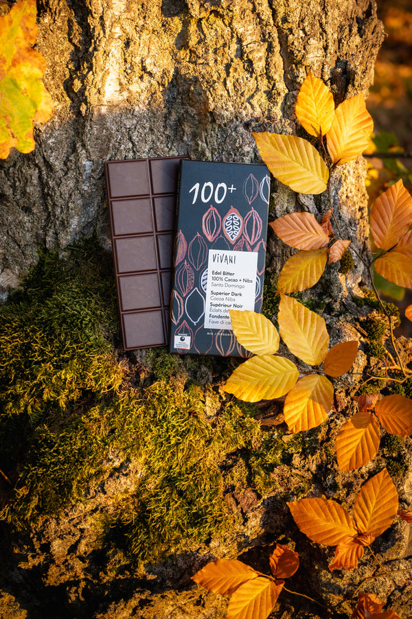 Vivani Hořká s kousky kakaa 100 % BIO (80 g)
