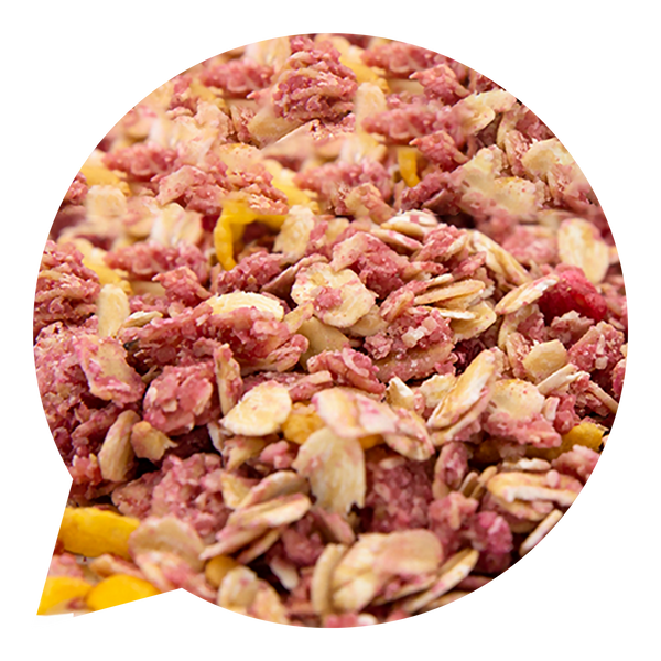230156 Müsli křupavé s malinami a kokosem 4 kg BIO BIO NEBIO-1
