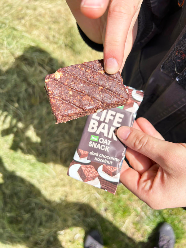 Lifefood Tyčinka Lifebar Oat Snack Dark Chocolate Hazelnut BIO (40 g)
