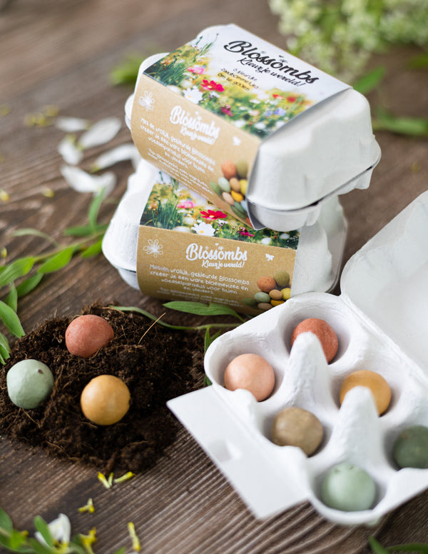 Blossombs Semínkové bomby - Dárkový box na vajíčka - Kytice (6 ks)
