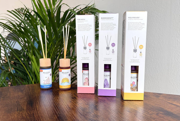 TAOASIS Baldini Aroma difuzér s tyčinkami FeelPower BIO (50 ml)