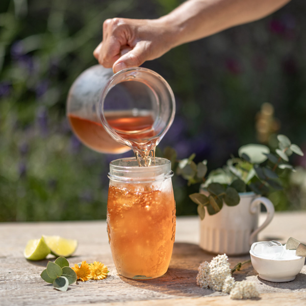 LEROS Bylinná směs Eukalyptus Cold Brew - nálev. sáčky (20 x 1,8 g)
