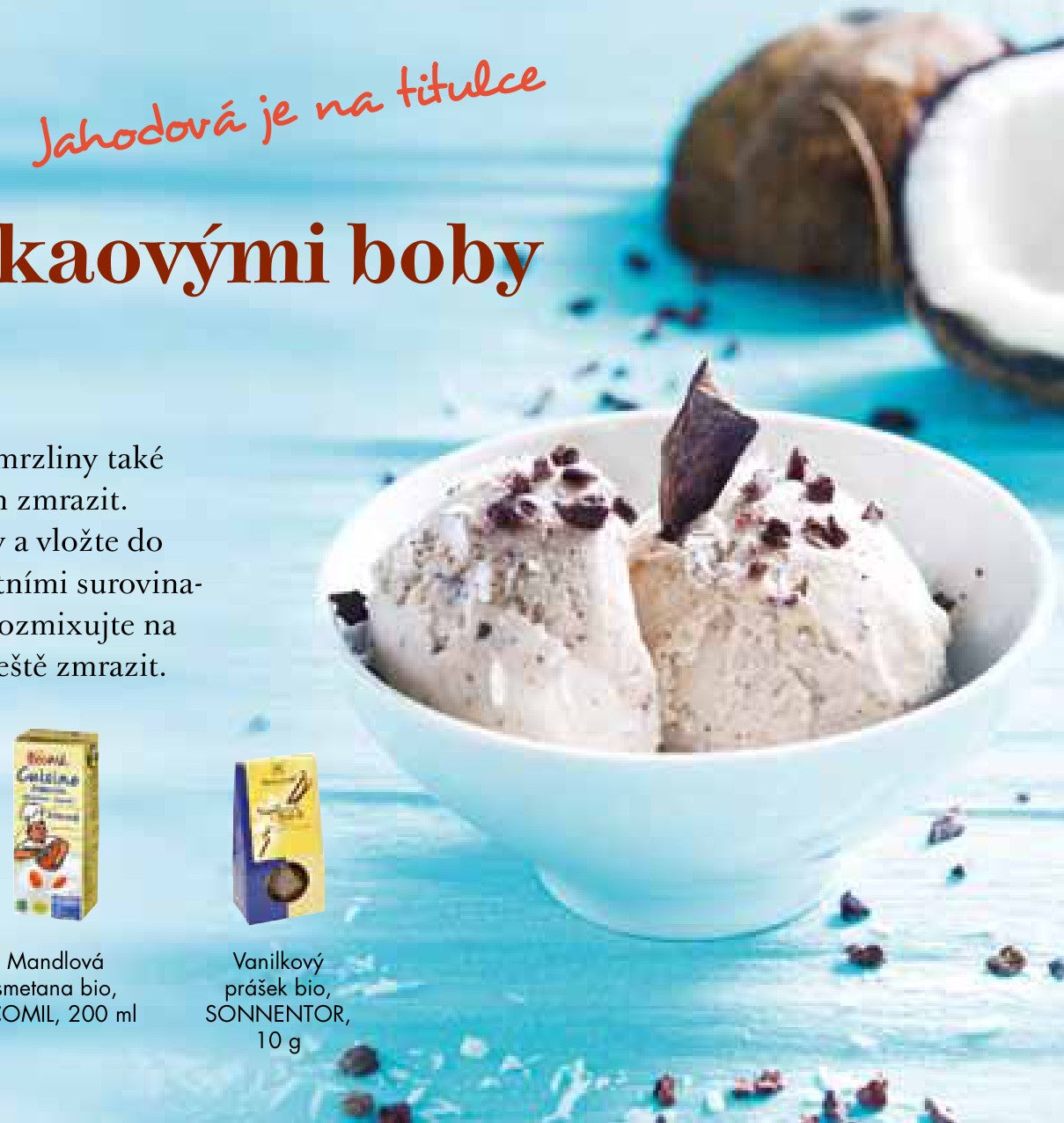 Kokosová zmrzlina s kakaovými boby
