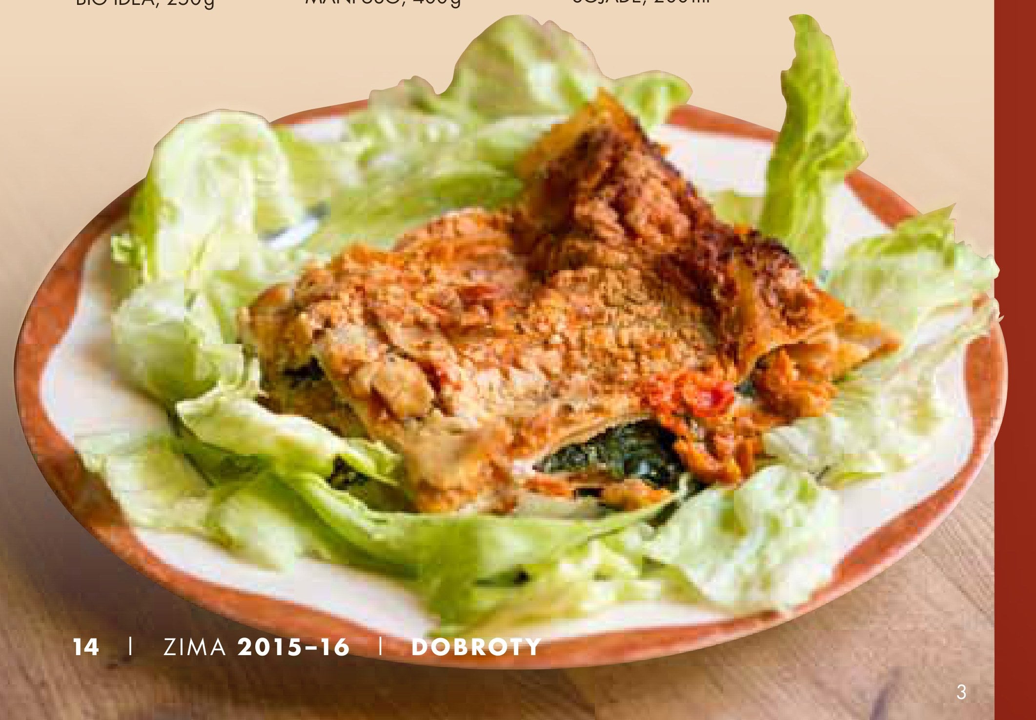 Lasagne se zeleninou a tofu