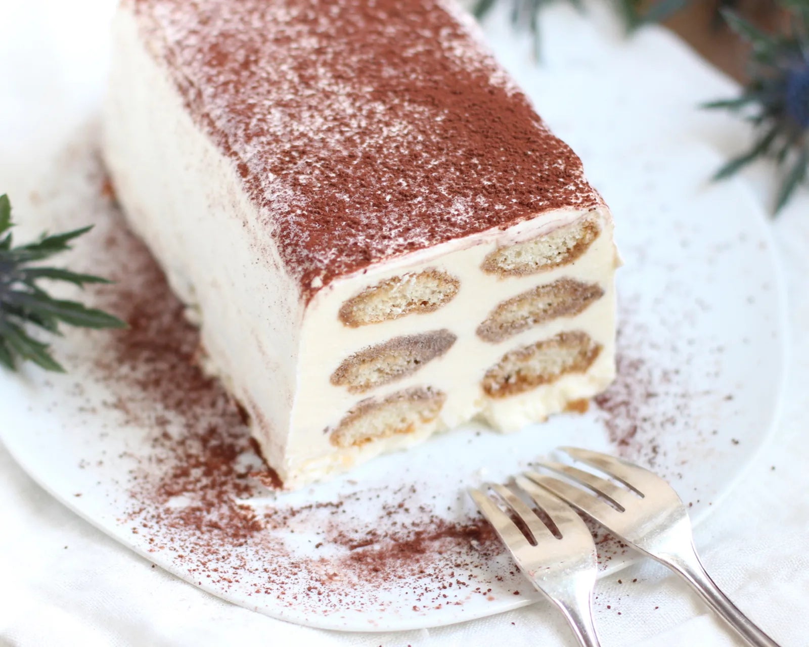 Tiramisu semifreddo