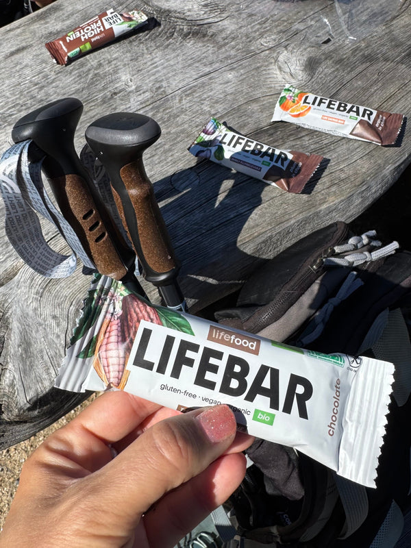Lifefood Tyčinka Lifebar čokoládová RAW BIO (40 g)